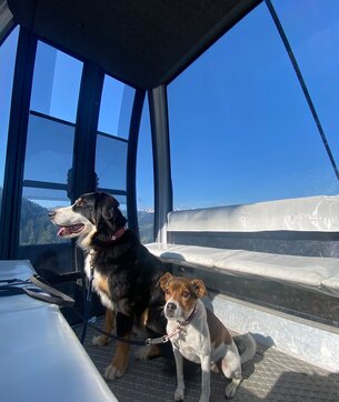 3-D Parc, Verbier 4Vallées