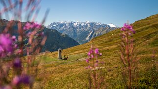 Montage pylônes Télémixte Esserts-Savoleyres, Septembre 2025