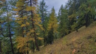 Randonnée entre Verbier et La Tzoumaz