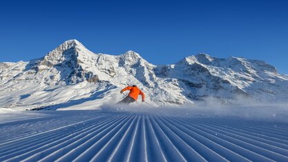 Jungfrau Ski Region