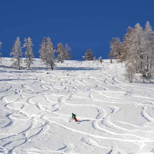 Pays du Saint-Bernard