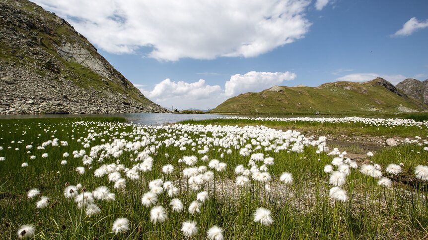 Lac des Vaux