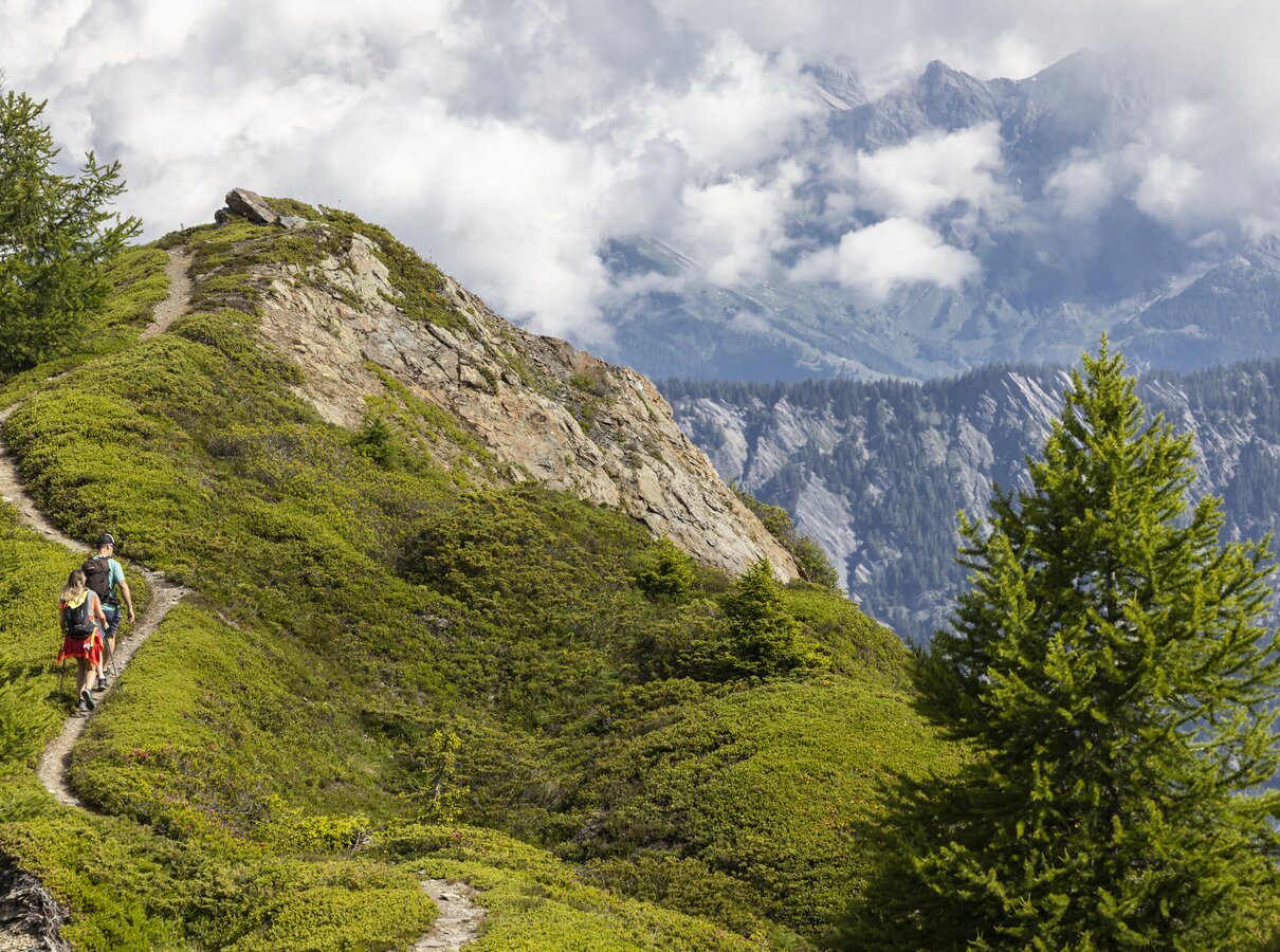 Hike Bruson