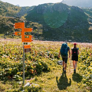 Two hikers from the back in Verbier