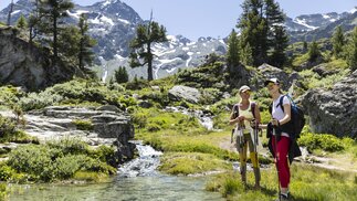 Jardin japonais, Verbier 4Vallées