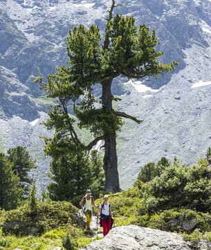 Jardin japonais, Verbier 4Vallées