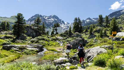 Japanischer Garten, Verbier 4Vallées