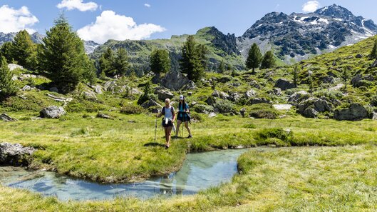 Japanischer Garten, Verbier 4Vallées