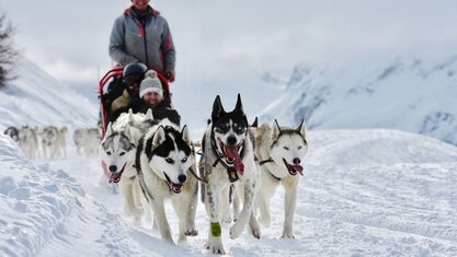Hundeschlittenfahrt, Verbier