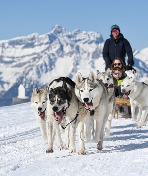 Hundeschlittenfahrt, Verbier