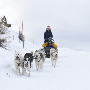 Hundeschlittenfahrt, Verbier