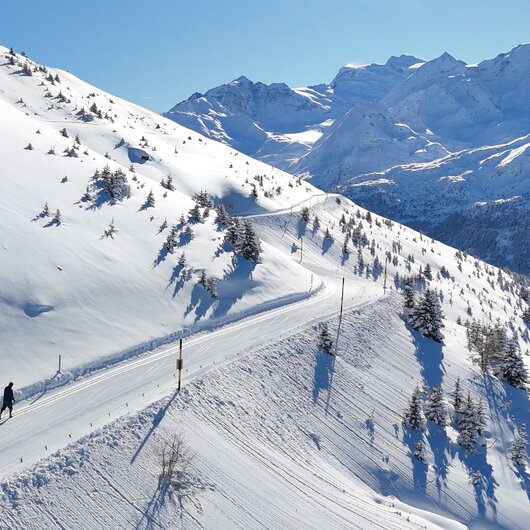 Cross-country skiing