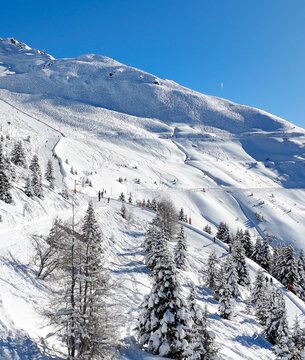 Cross-country skiing