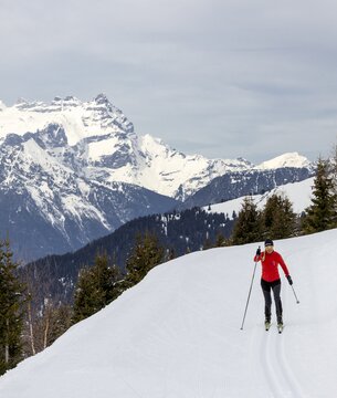 Cross-country skiing