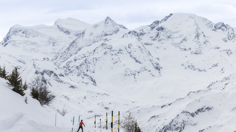 Cross-country skiing