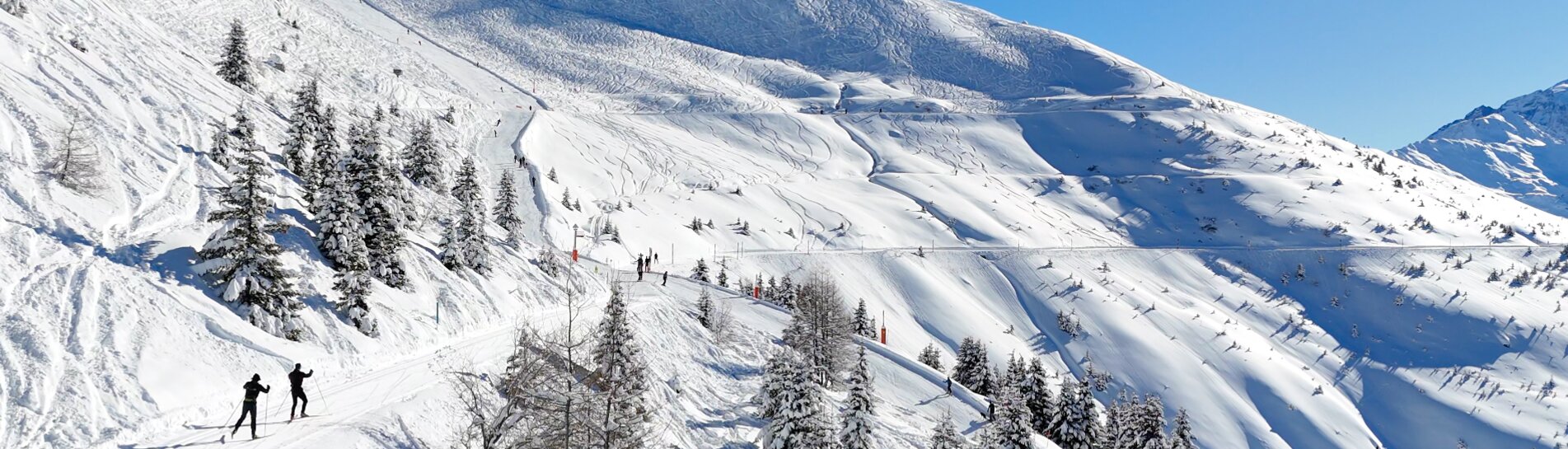 Cross-country skiing