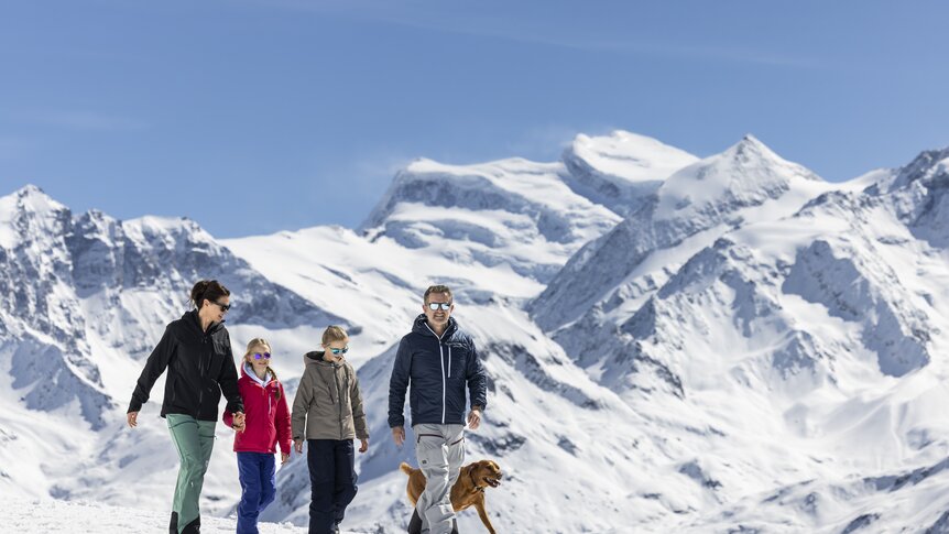 Randonnée hivernale